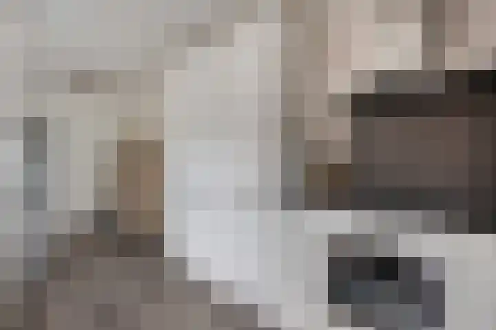 Irenestraat 42 Lekkerkerk thumbnail 13
