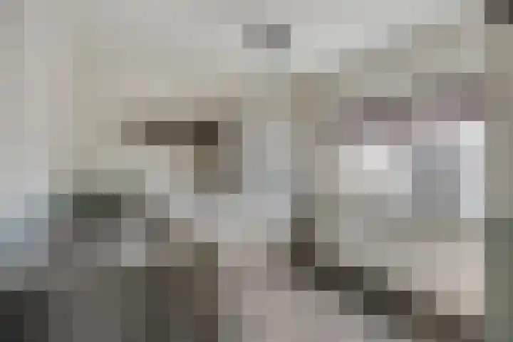 Irenestraat 42 Lekkerkerk thumbnail 17