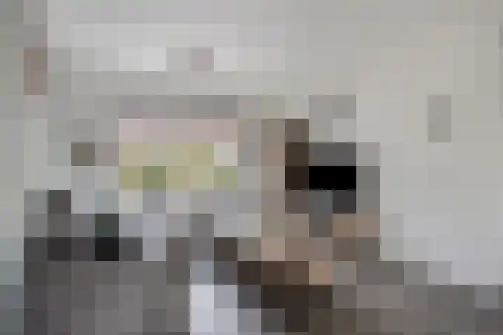 Irenestraat 42 Lekkerkerk thumbnail 6