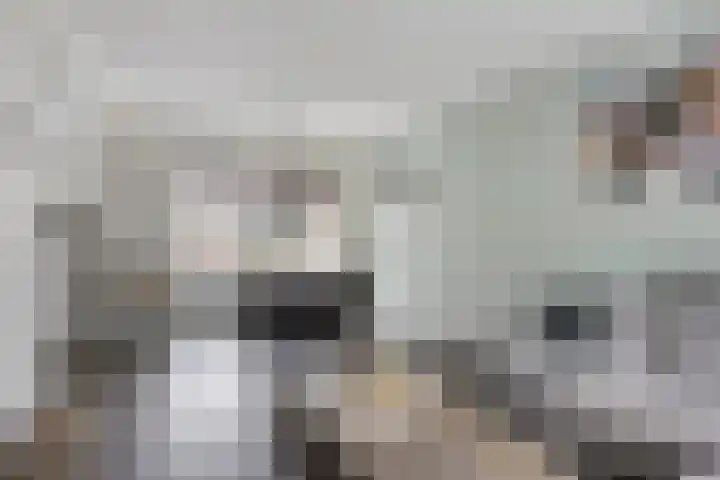 Irenestraat 42 Lekkerkerk thumbnail 7