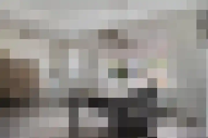 Irenestraat 42 Lekkerkerk thumbnail 8