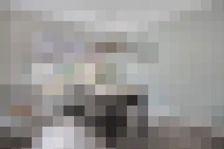 Irenestraat 42 Lekkerkerk thumbnail 9
