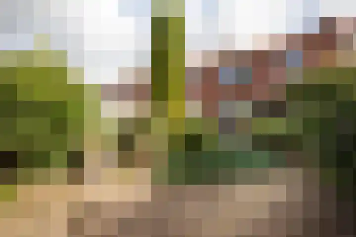 Irenestraat 43 Groenlo thumbnail 21