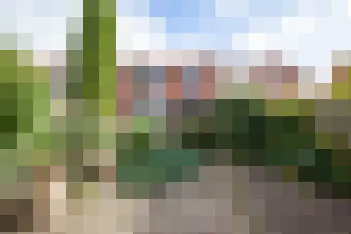 Irenestraat 43 Groenlo thumbnail 4