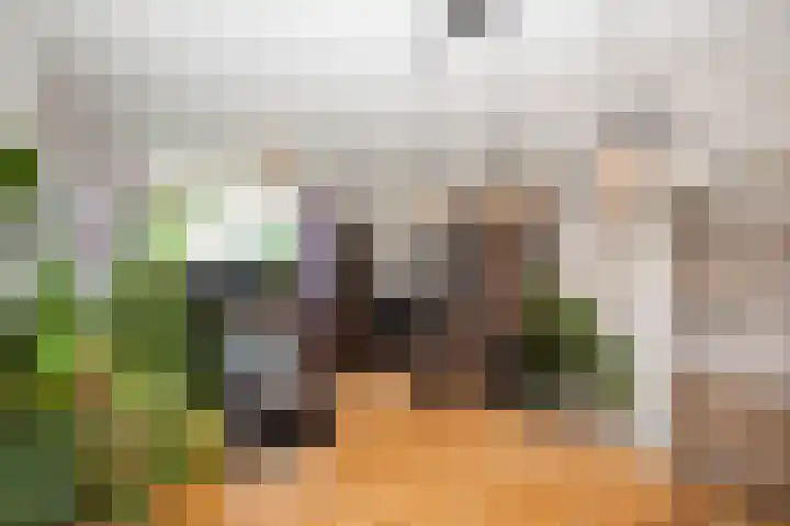 Irenestraat 43 Groenlo thumbnail 7