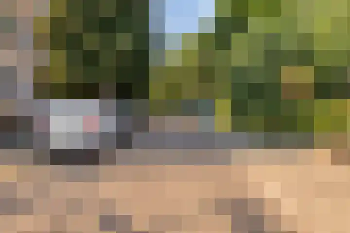 Irenestraat 46 Beek thumbnail 25