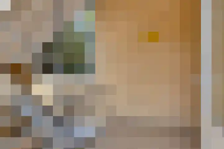 Irenestraat 46 Beek thumbnail 7