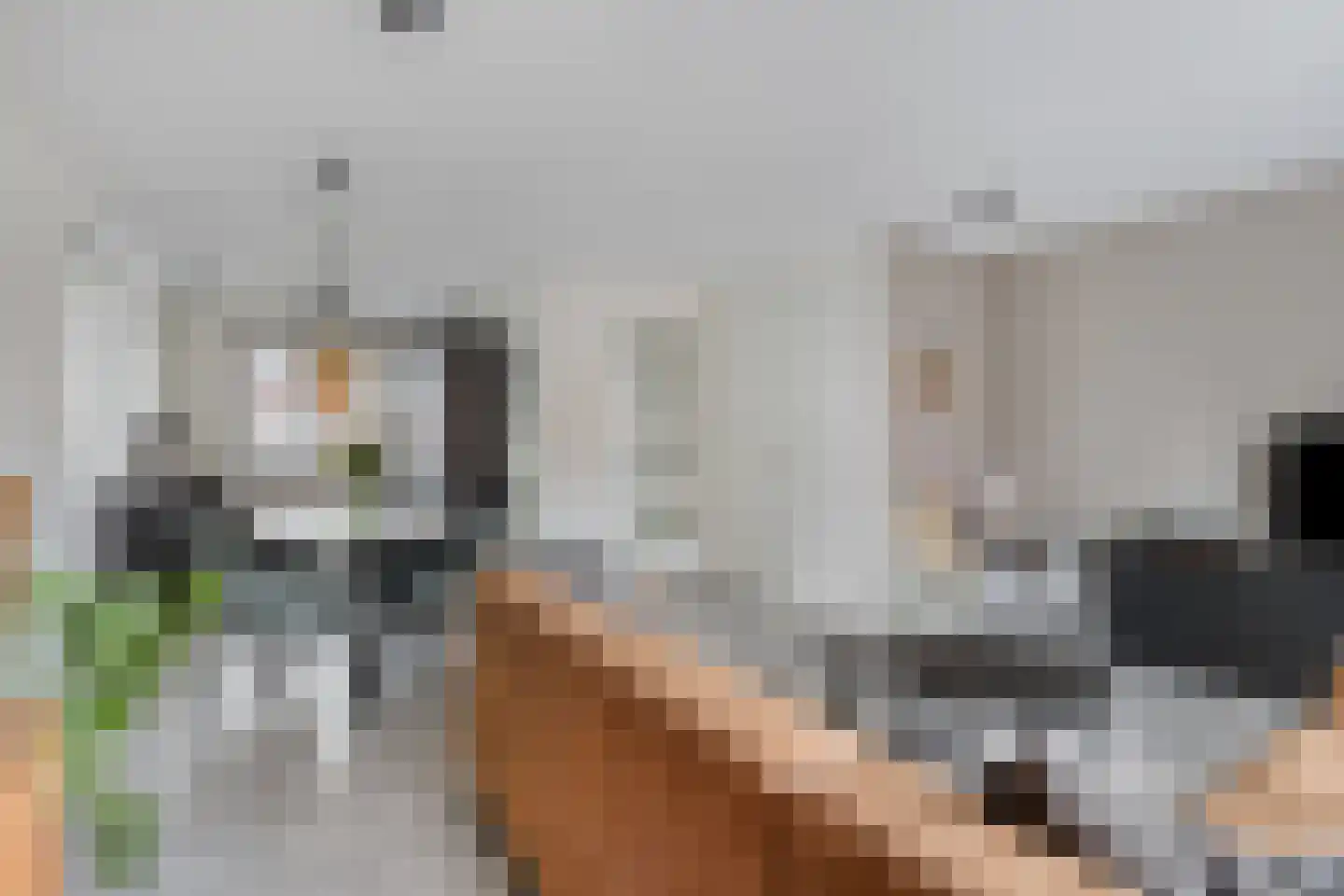 Irenestraat 46 Deurne thumbnail 15