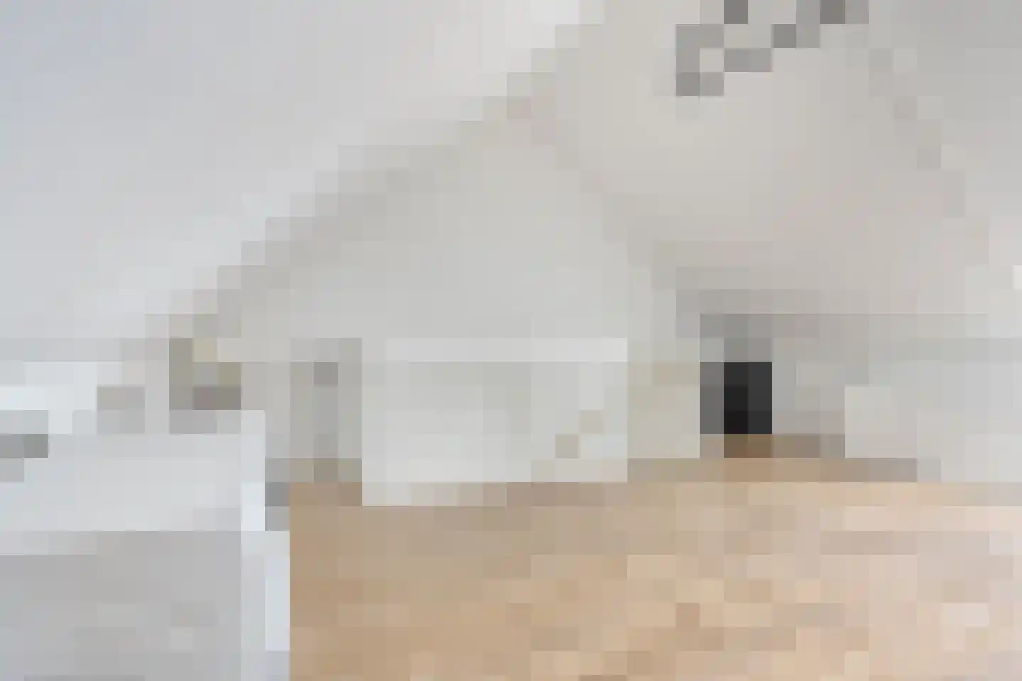 Irenestraat 46 Deurne thumbnail 31