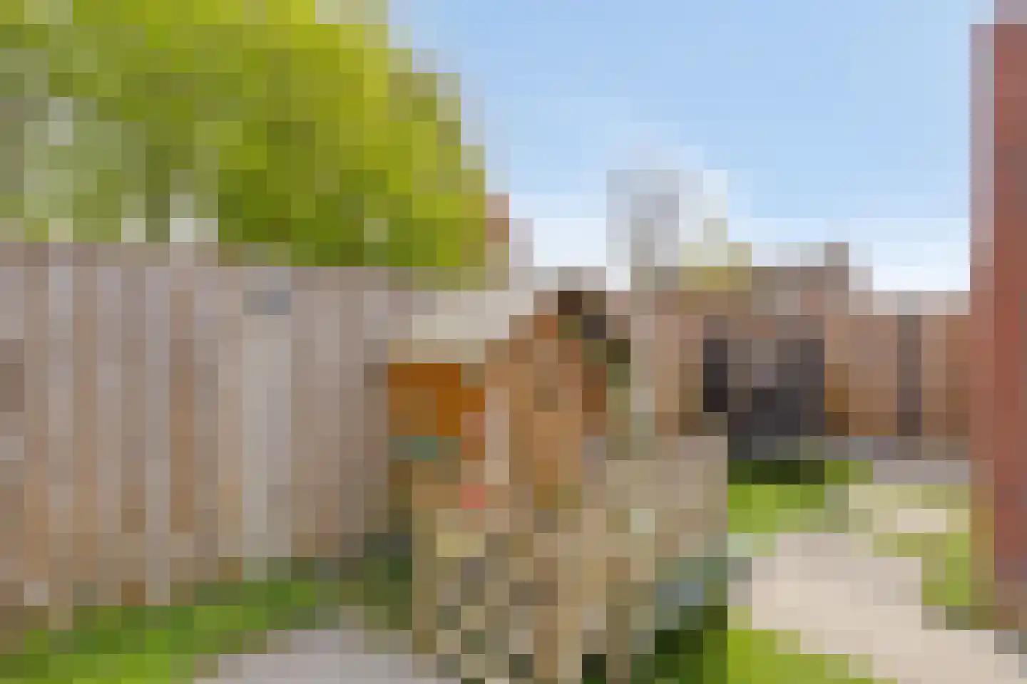 Irenestraat 46 Deurne thumbnail 36