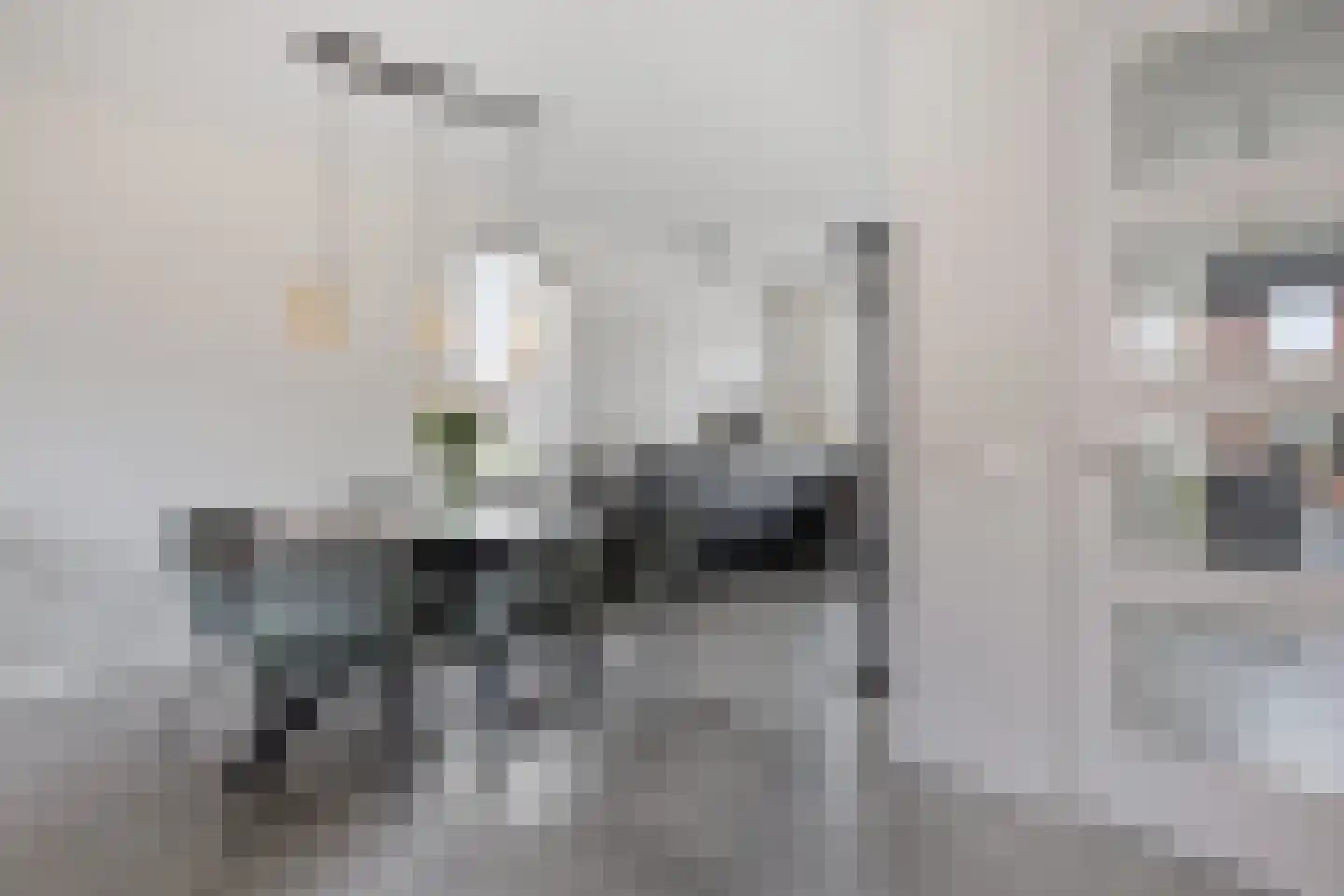 Irenestraat 46 Deurne thumbnail 8