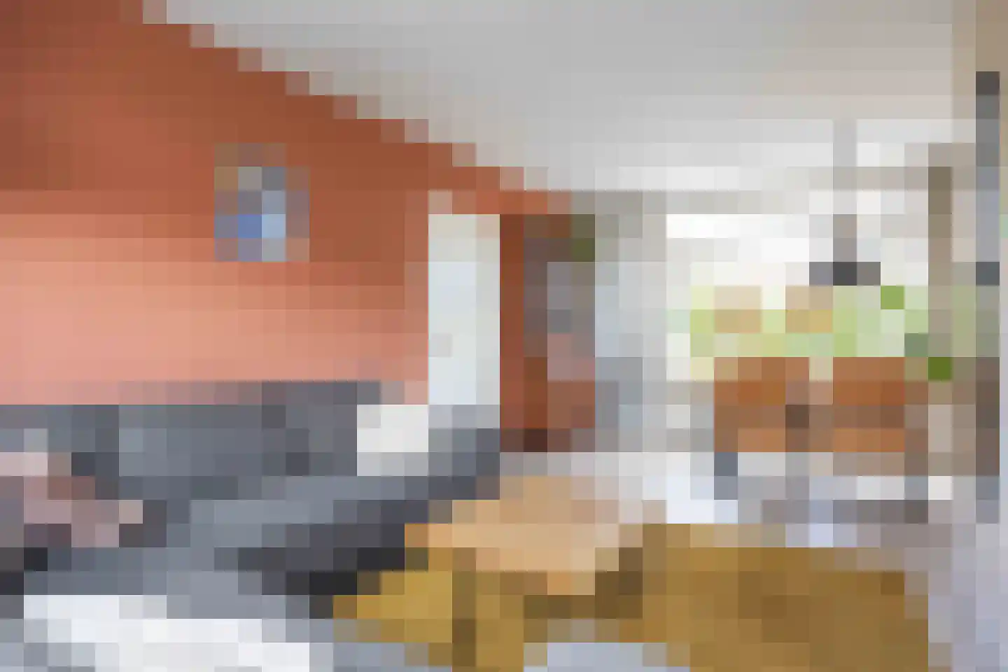Irenestraat 46 Groningen thumbnail 12