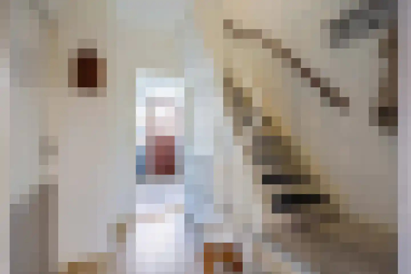 Irenestraat 46 Groningen thumbnail 8