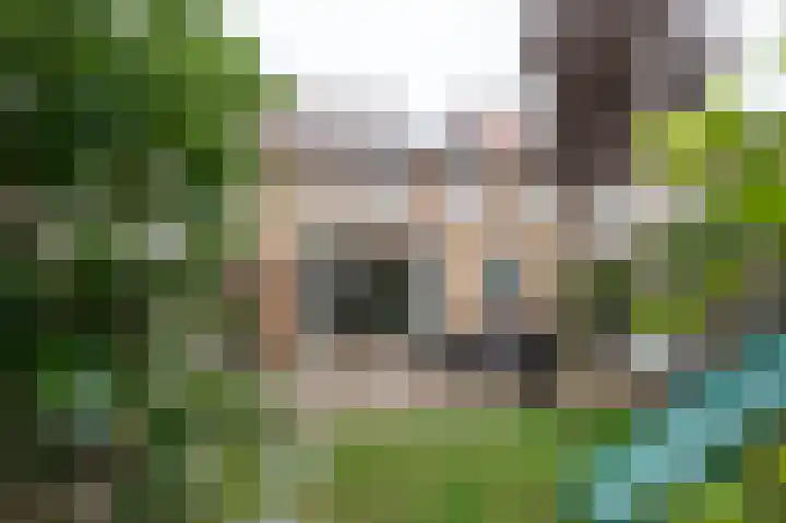 Irenestraat 5 Schijndel thumbnail 31