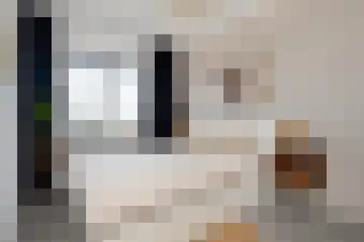 Irenestraat 50 Beek thumbnail 27