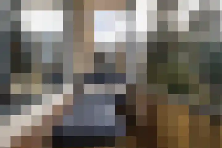 Irenestraat 50 Beek thumbnail 4