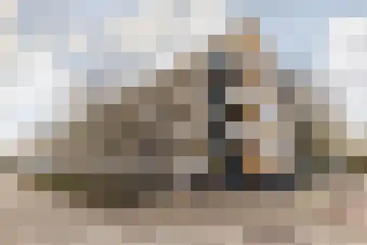 Irenestraat 50 Beek thumbnail 7