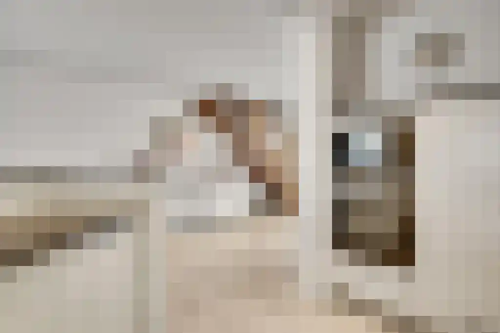 Irenestraat 51 Puth thumbnail 11