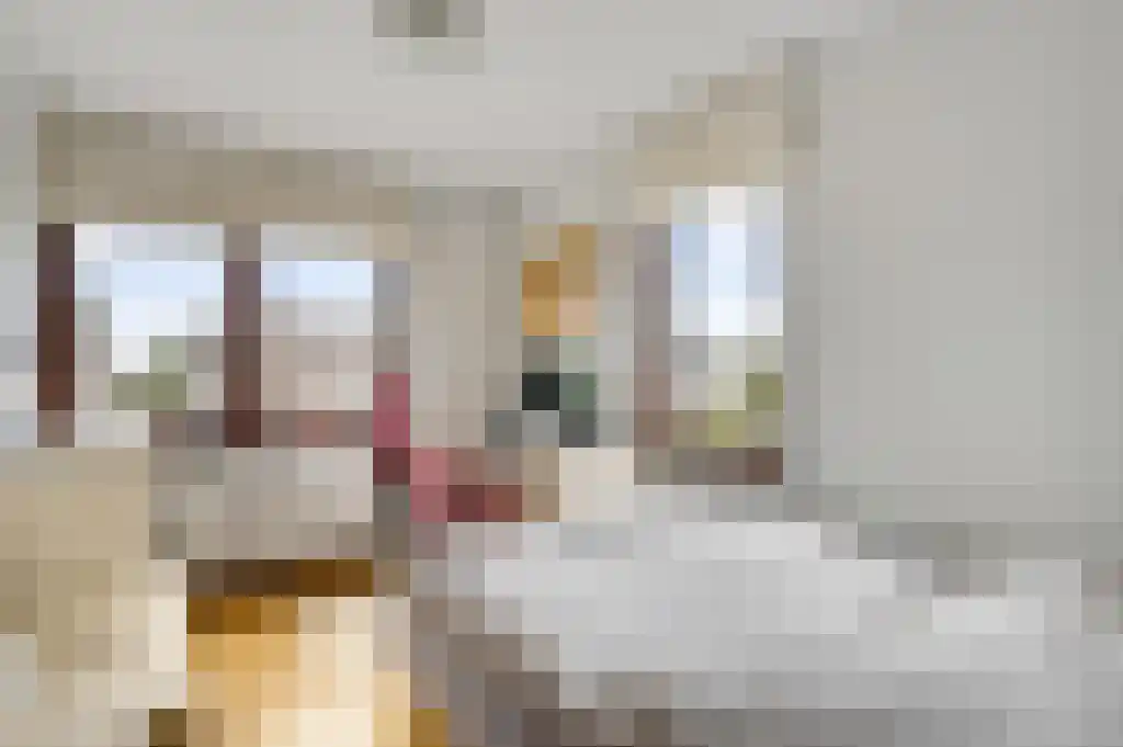 Irenestraat 51 Puth thumbnail 27