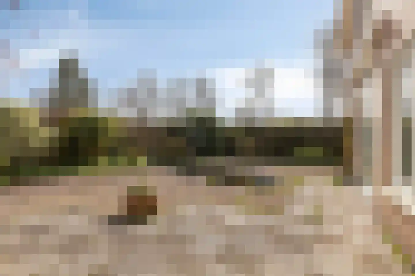 Irenestraat 53 Burgh-Haamstede thumbnail 35