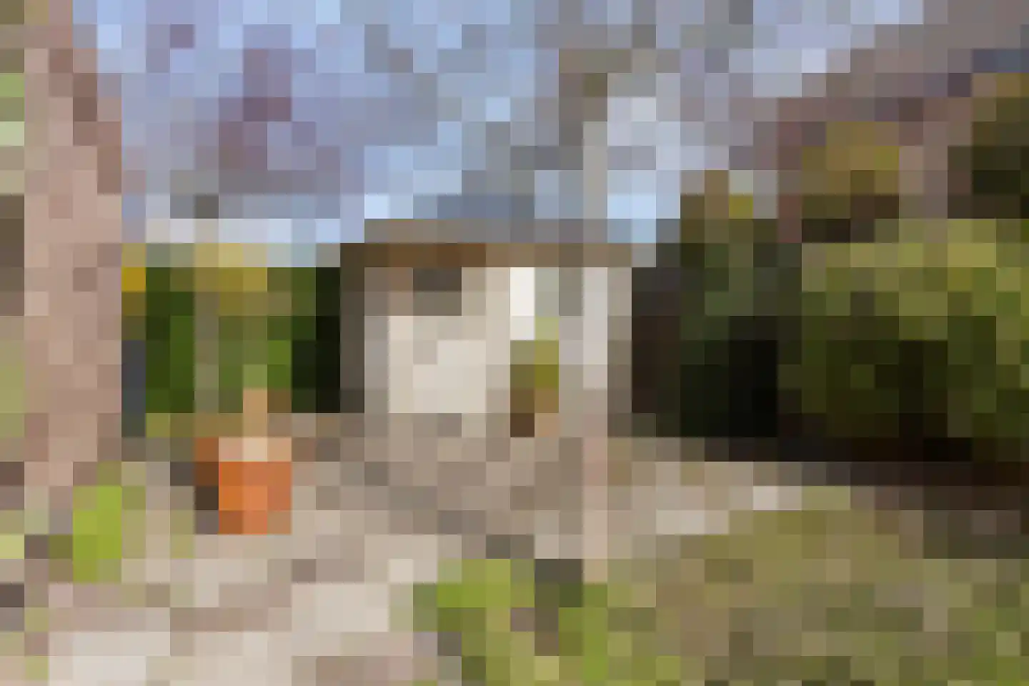 Irenestraat 53 Burgh-Haamstede thumbnail 36