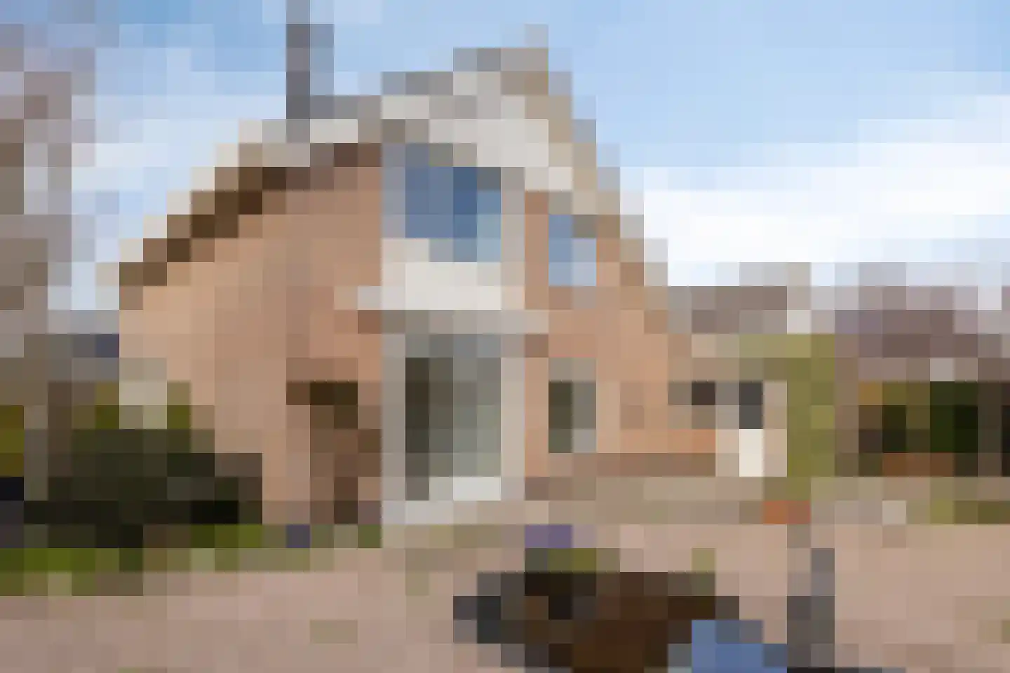 Irenestraat 53 Burgh-Haamstede thumbnail 4