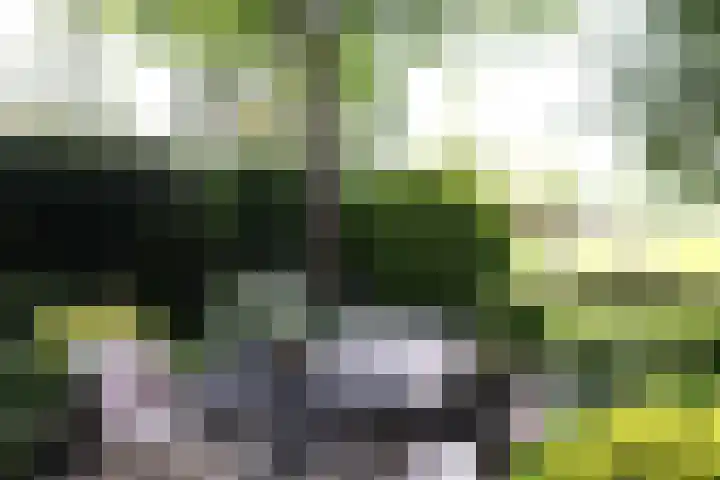 Irenestraat 58 Burgh-Haamstede thumbnail 31