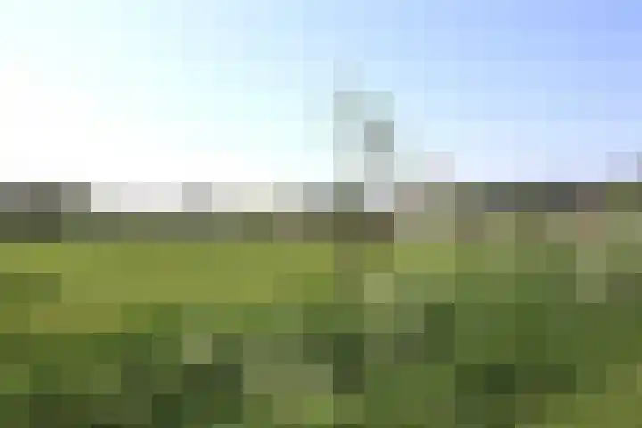 Irenestraat 58 Burgh-Haamstede thumbnail 36