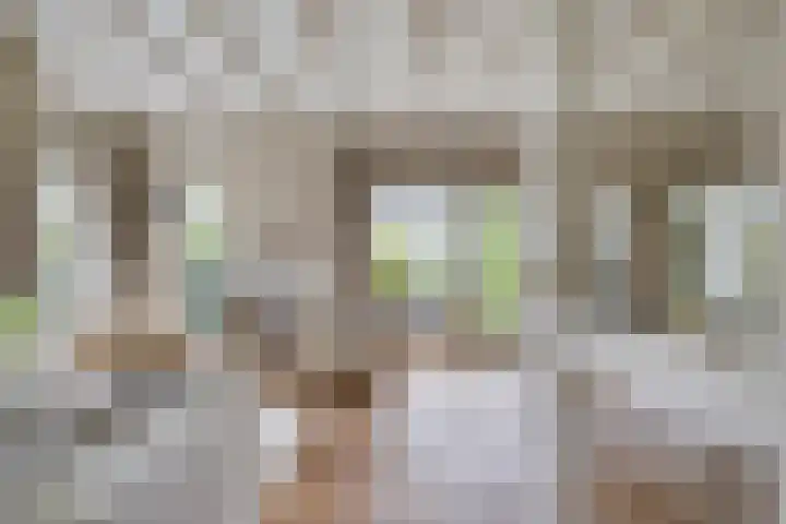 Irenestraat 58 Burgh-Haamstede thumbnail 6