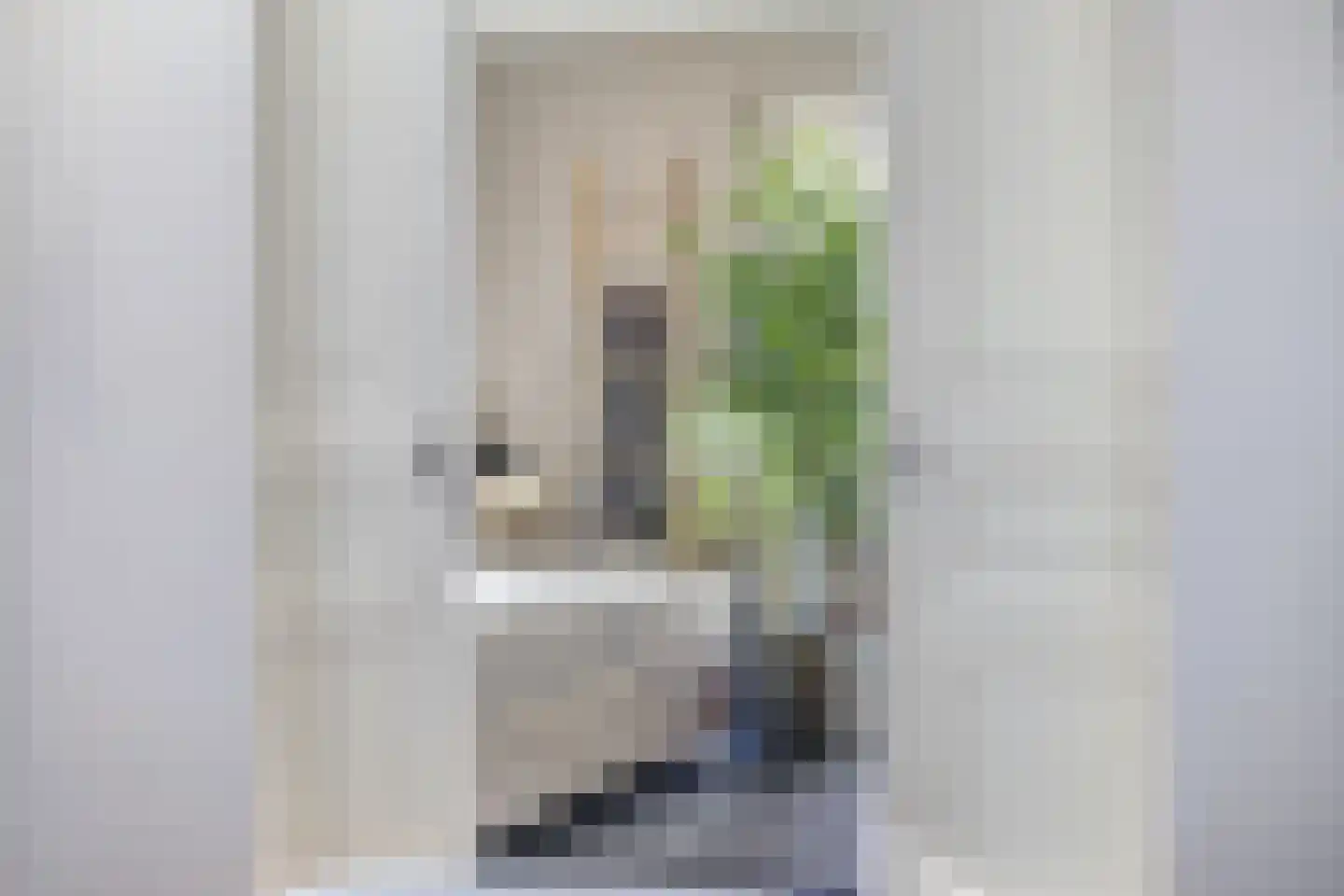 Irenestraat 58 St. Willebrord thumbnail 33