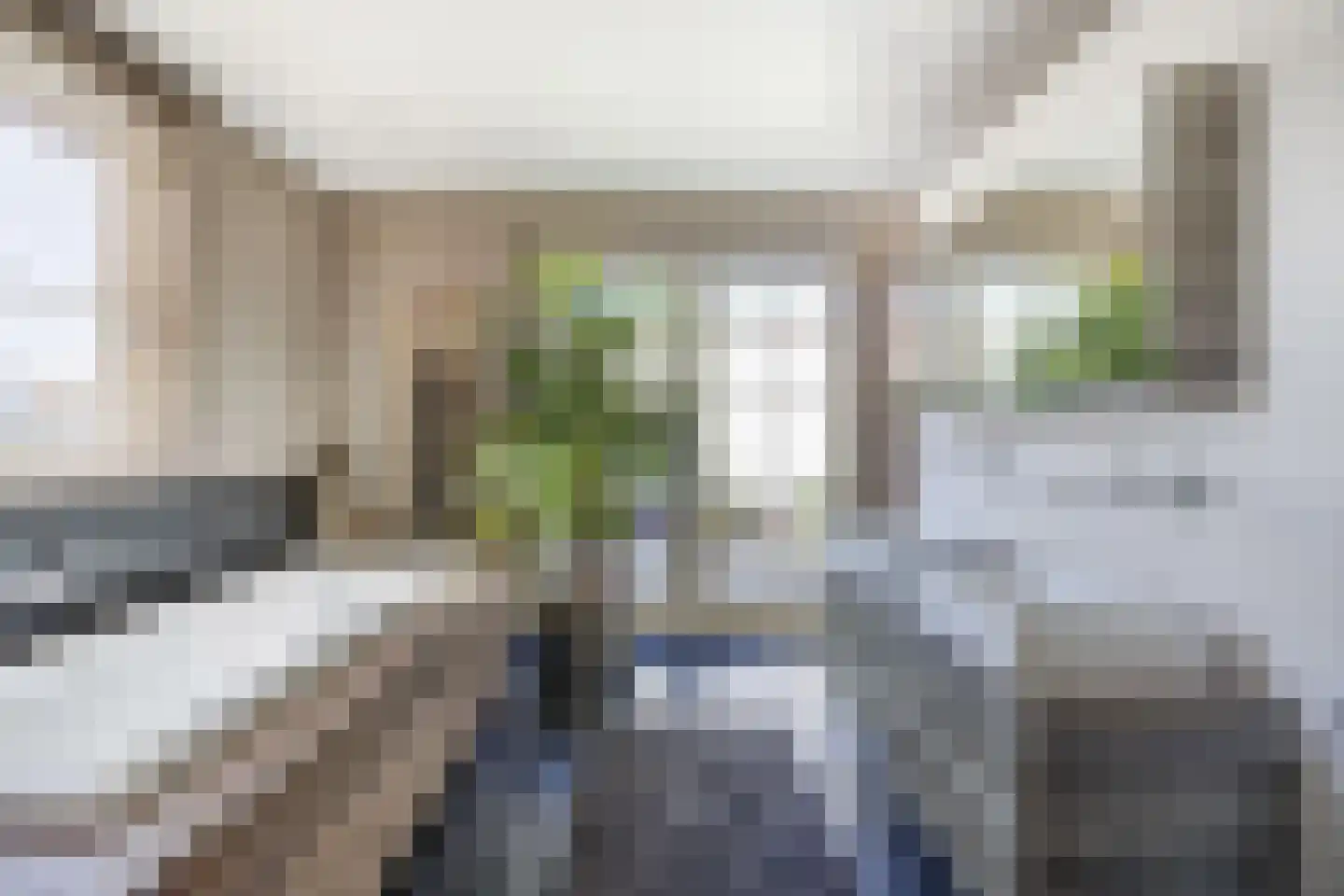 Irenestraat 58 St. Willebrord thumbnail 34