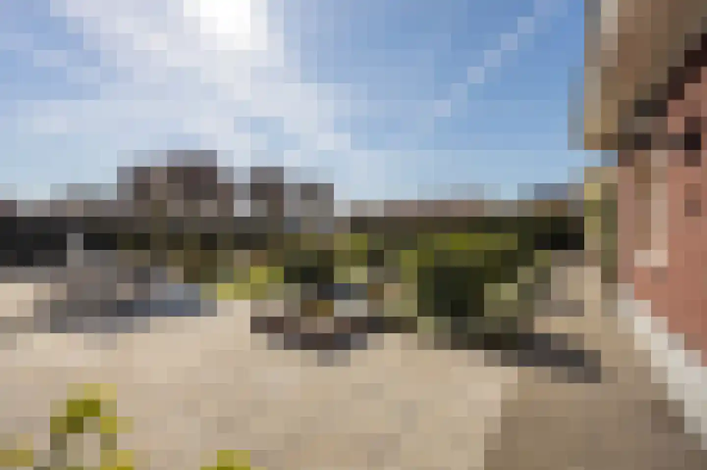 Irenestraat 58 St. Willebrord thumbnail 4