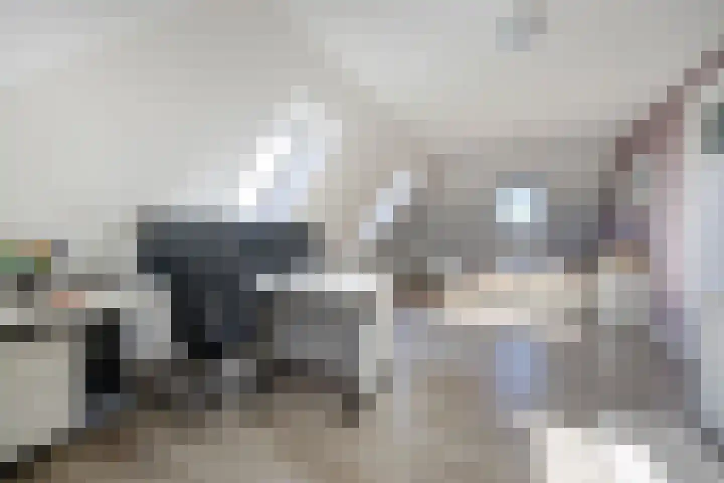 Irenestraat 58 St. Willebrord thumbnail 44