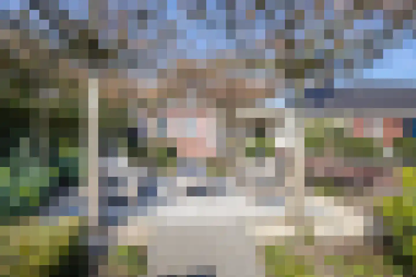 Irenestraat 58 St. Willebrord thumbnail 60