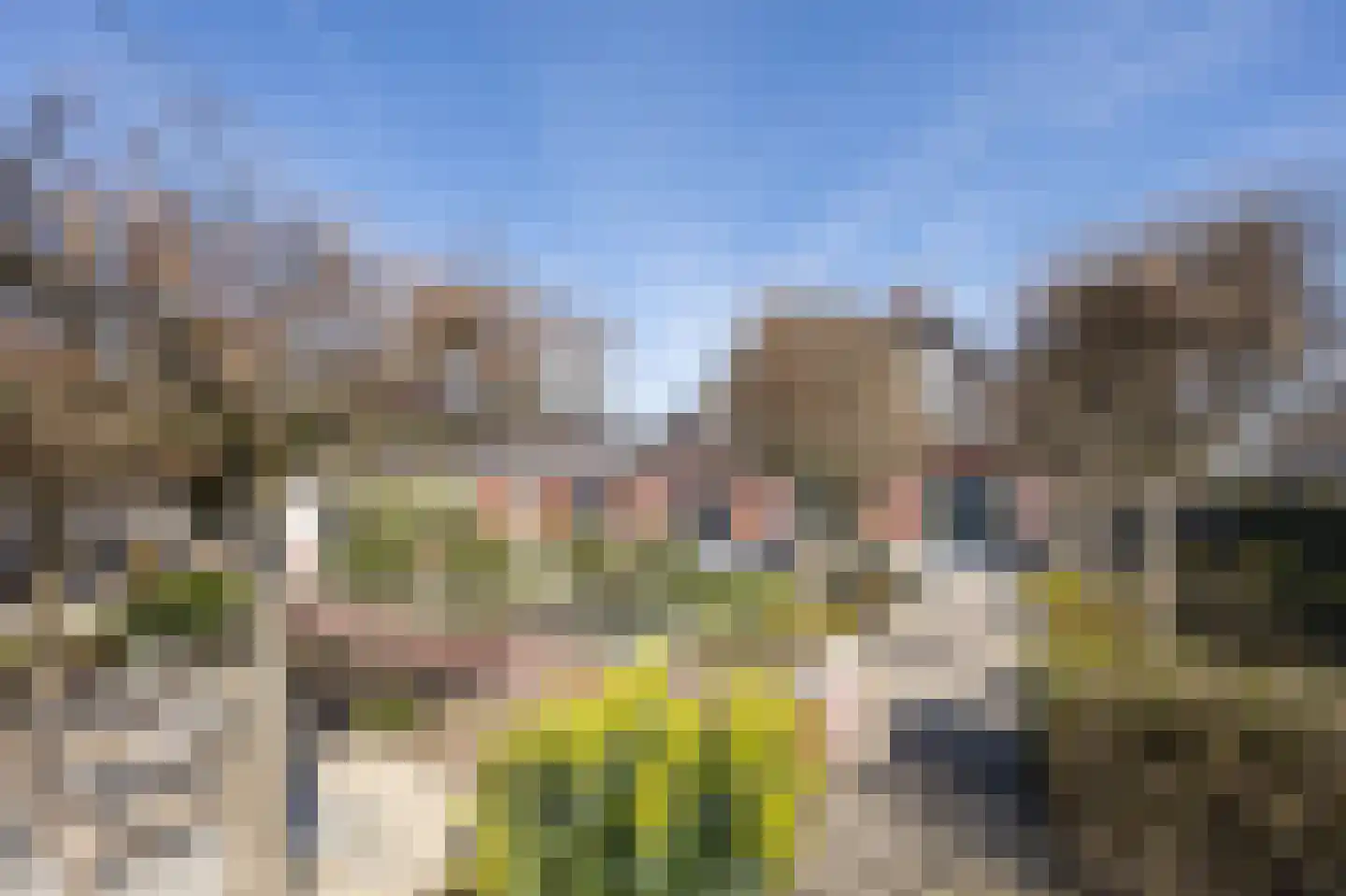 Irenestraat 58 St. Willebrord thumbnail 62