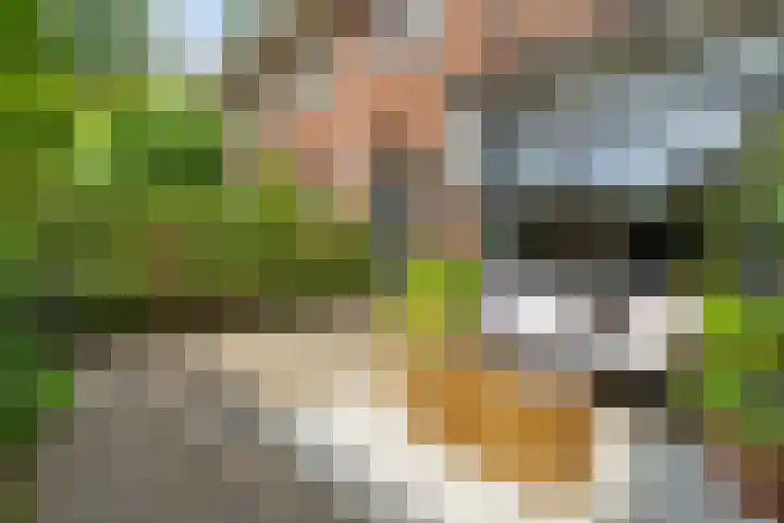 Irenestraat 6 Breda thumbnail 53
