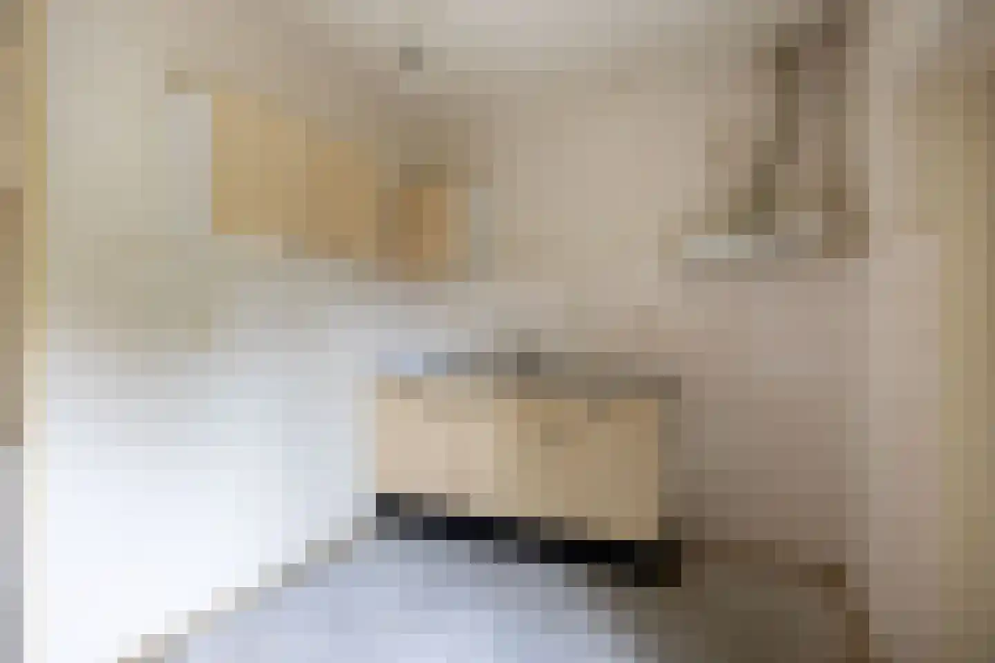 Irenestraat 6 Sebaldeburen thumbnail 12