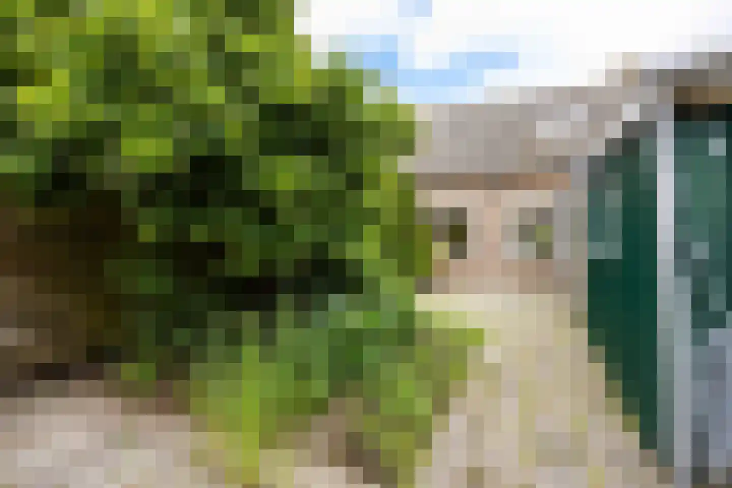 Irenestraat 6 Sebaldeburen thumbnail 32