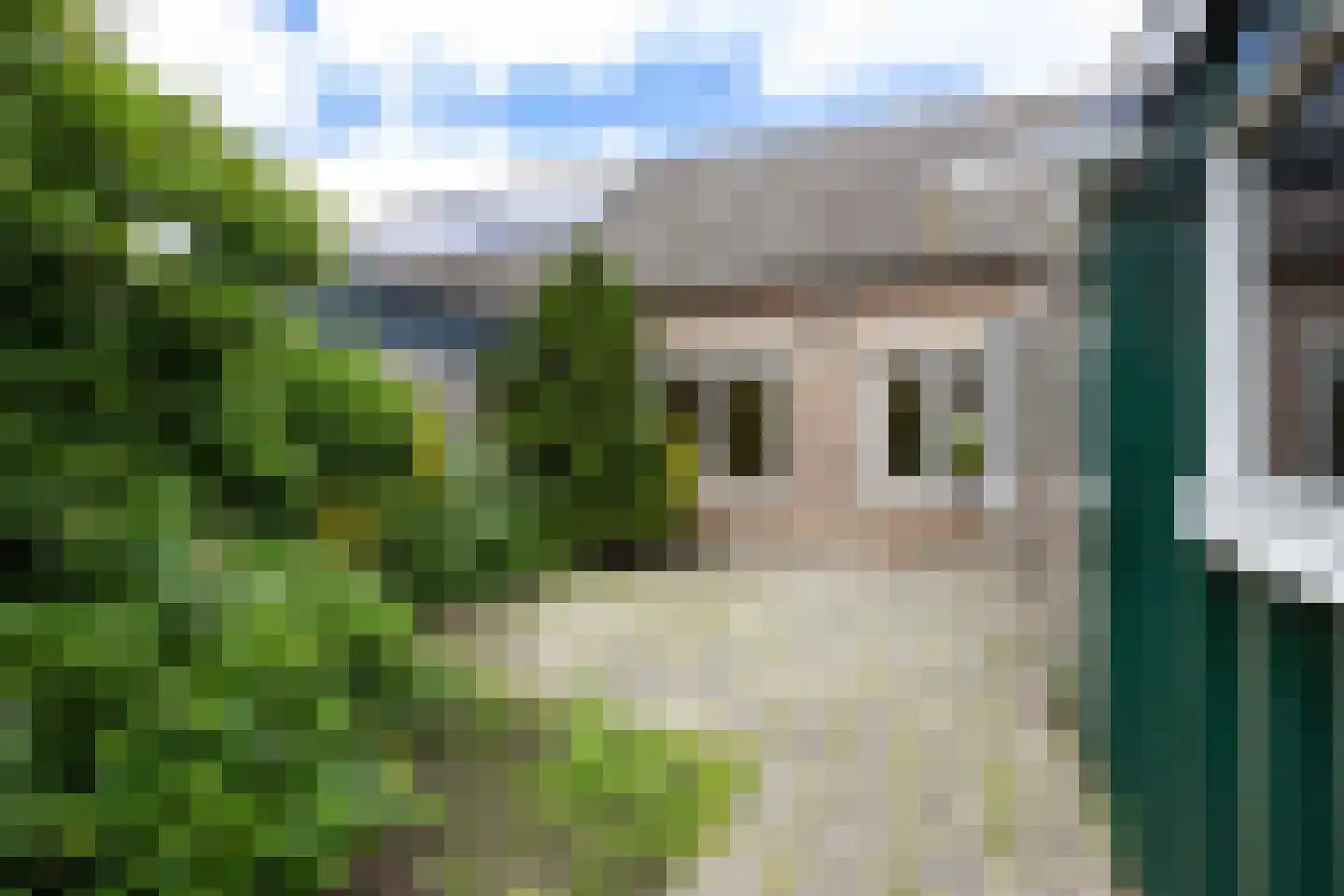 Irenestraat 6 Sebaldeburen thumbnail 34