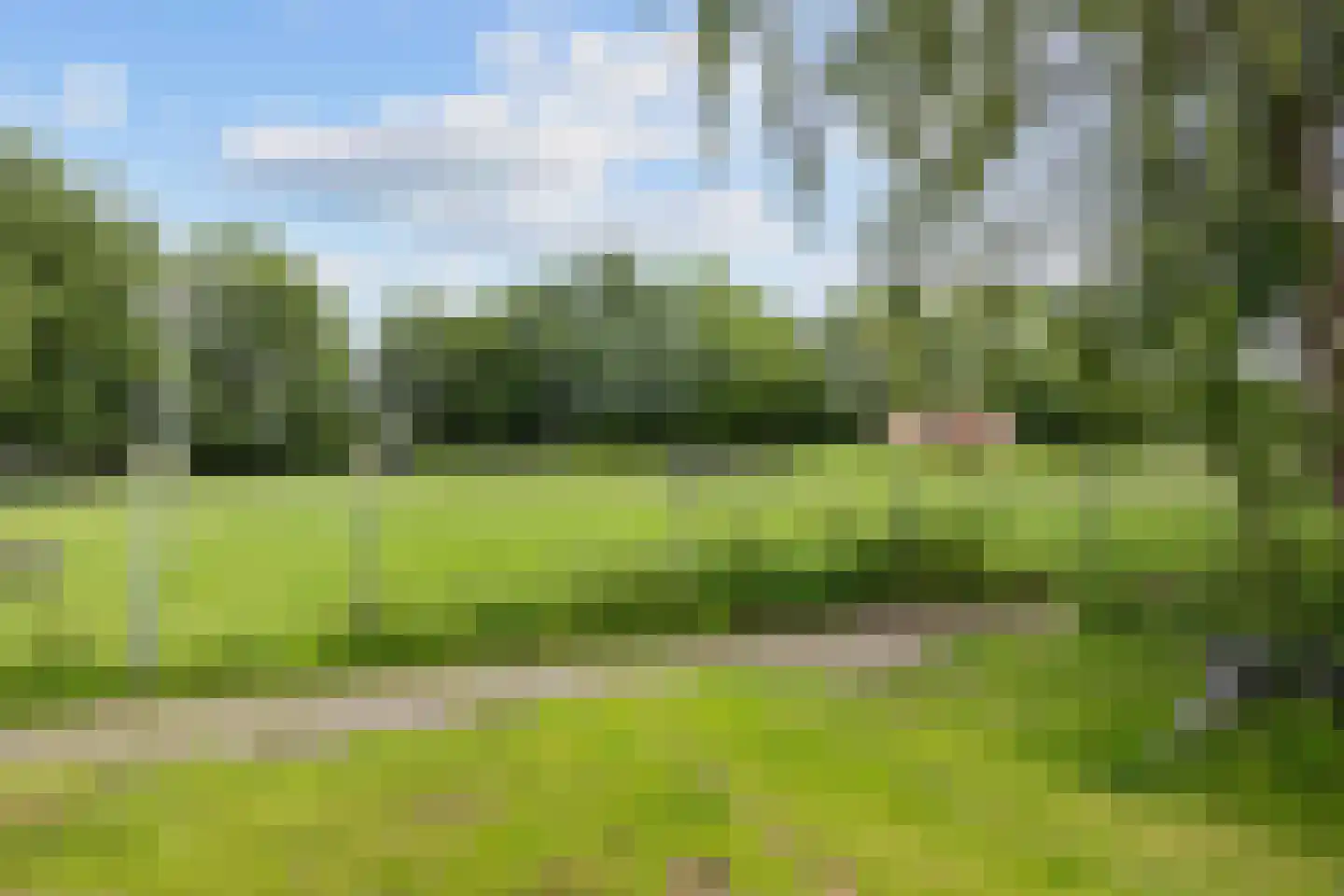 Irenestraat 6 Sebaldeburen thumbnail 37