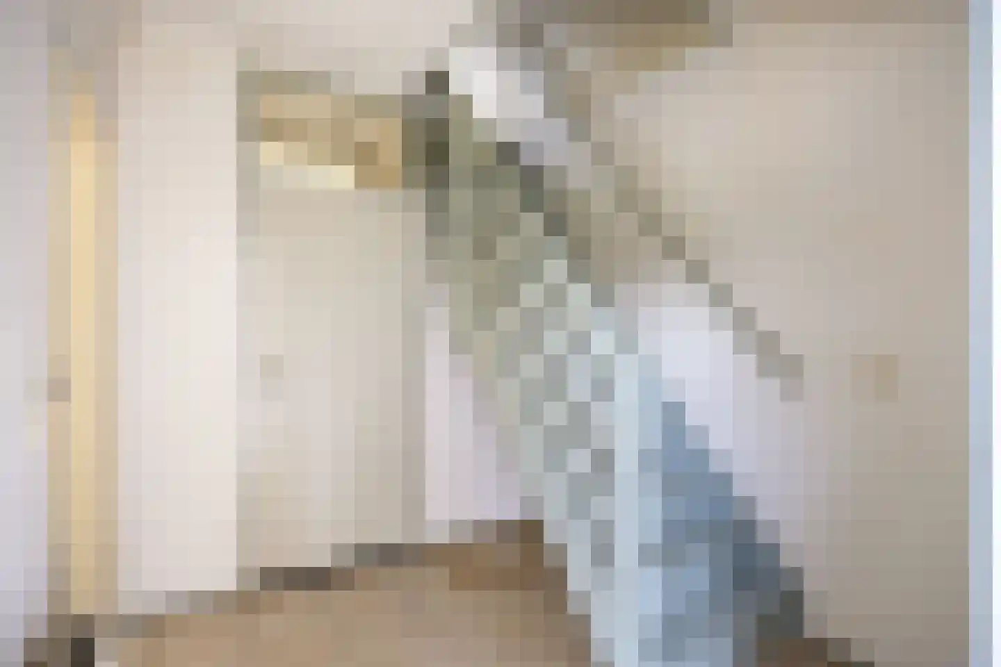 Irenestraat 6 Sebaldeburen thumbnail 6