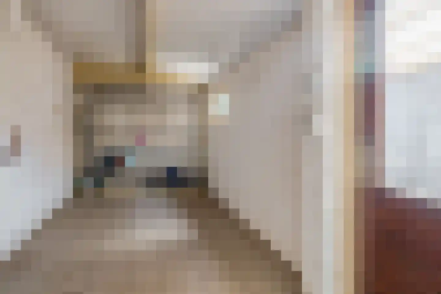 Irenestraat 6 Velden thumbnail 10