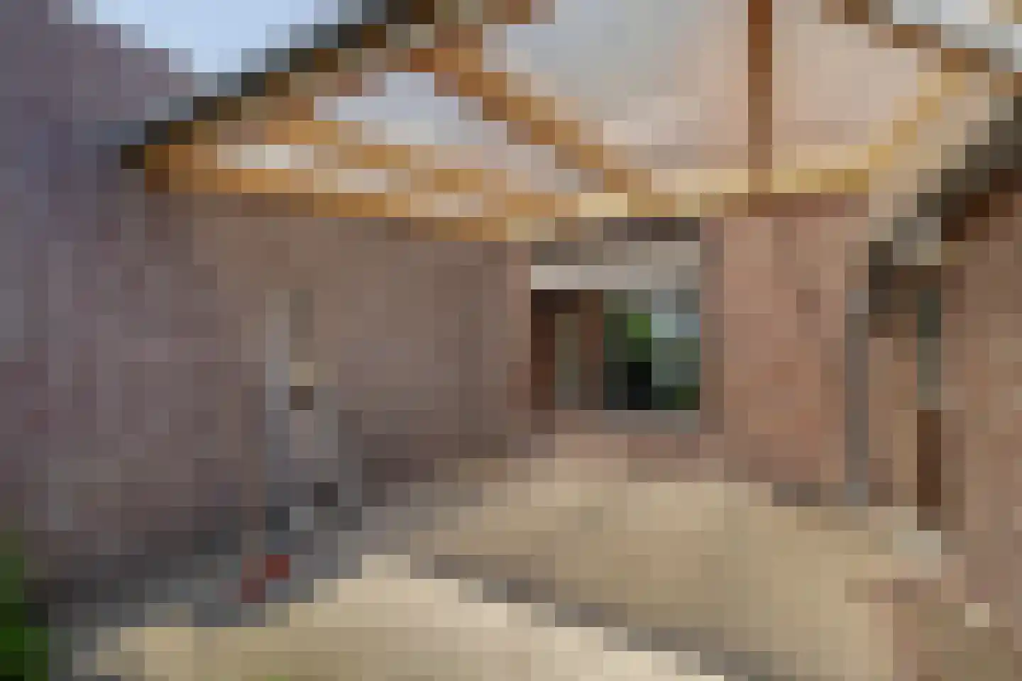 Irenestraat 6 Velden thumbnail 19