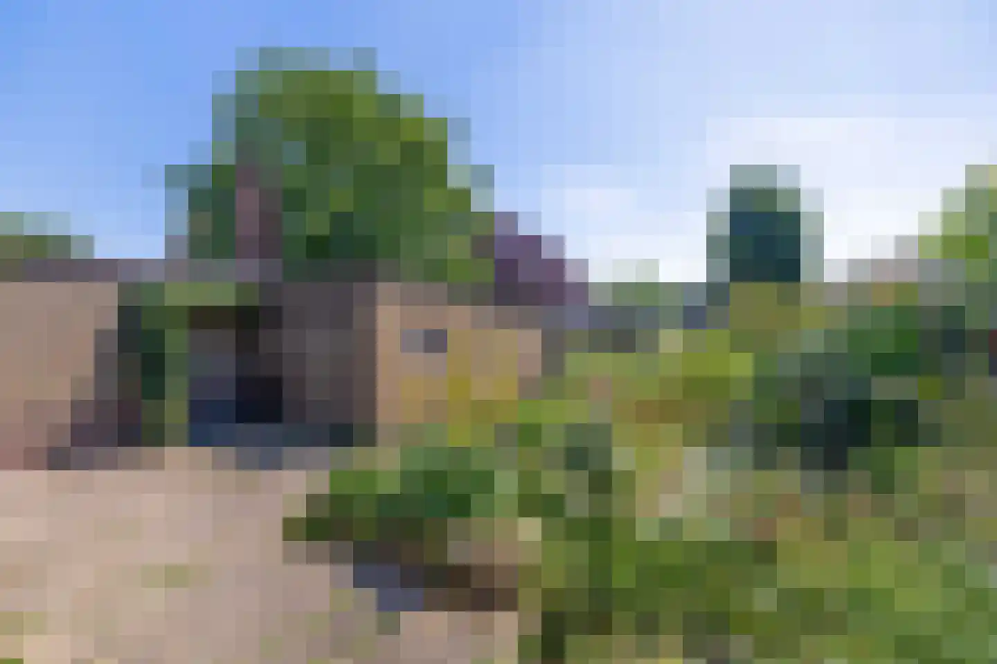 Irenestraat 6 Velden thumbnail 20