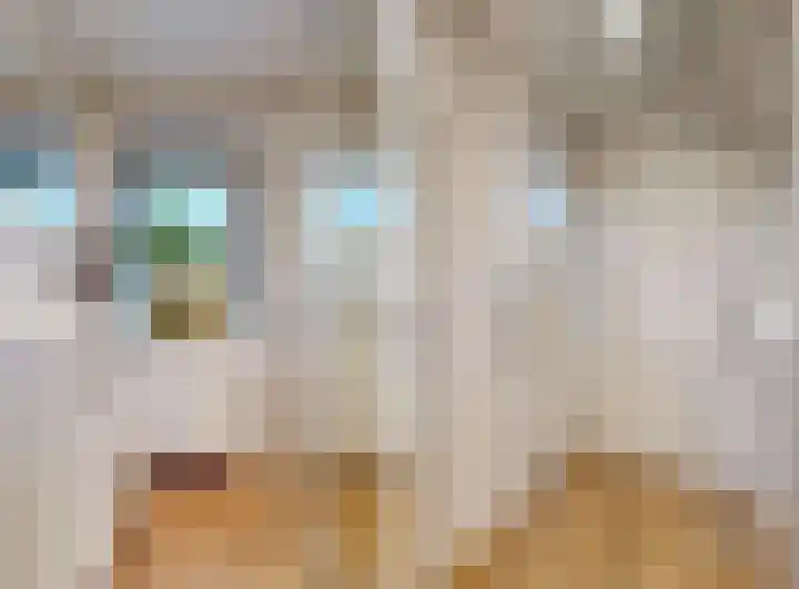 Irenestraat 6 Wilnis thumbnail 23