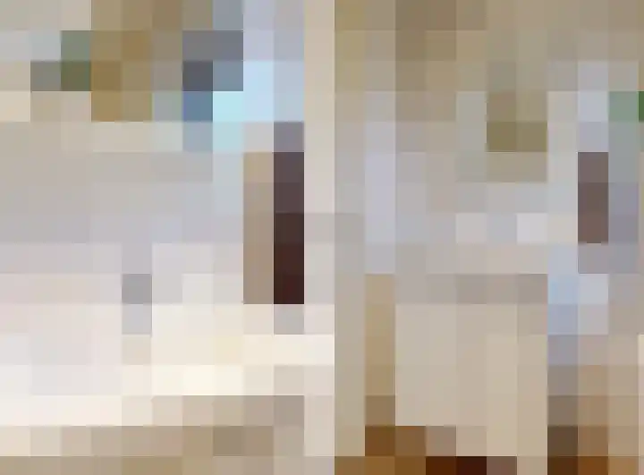 Irenestraat 6 Wilnis thumbnail 24