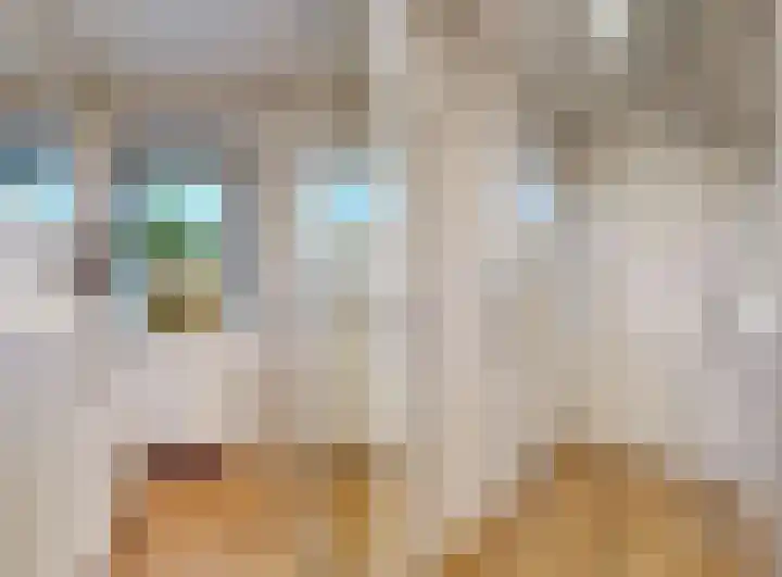 Irenestraat 6 Wilnis thumbnail 4