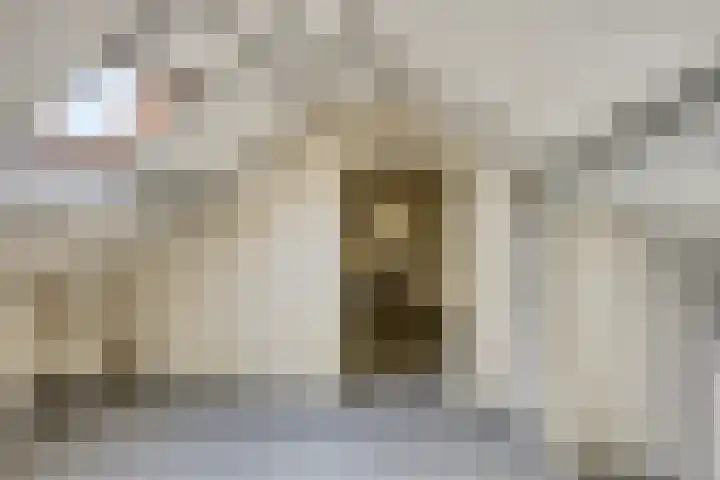 Irenestraat 7 Heeswijk-Dinther thumbnail 32