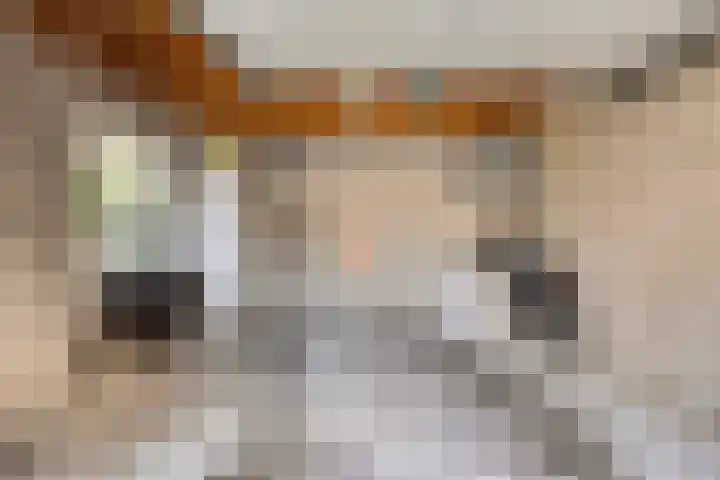 Irenestraat 7 Heeswijk-Dinther thumbnail 43