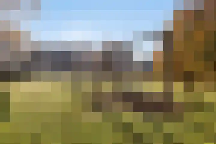 Irenestraat 7 Rhoon thumbnail 30